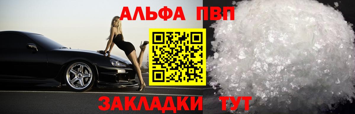 Альфа ПВП СК Новодвинск