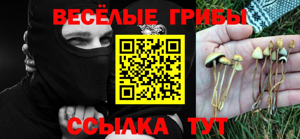 Псилоцибиновые грибы Psilocybine cubensis  Вход с VPN  Новодвинск 